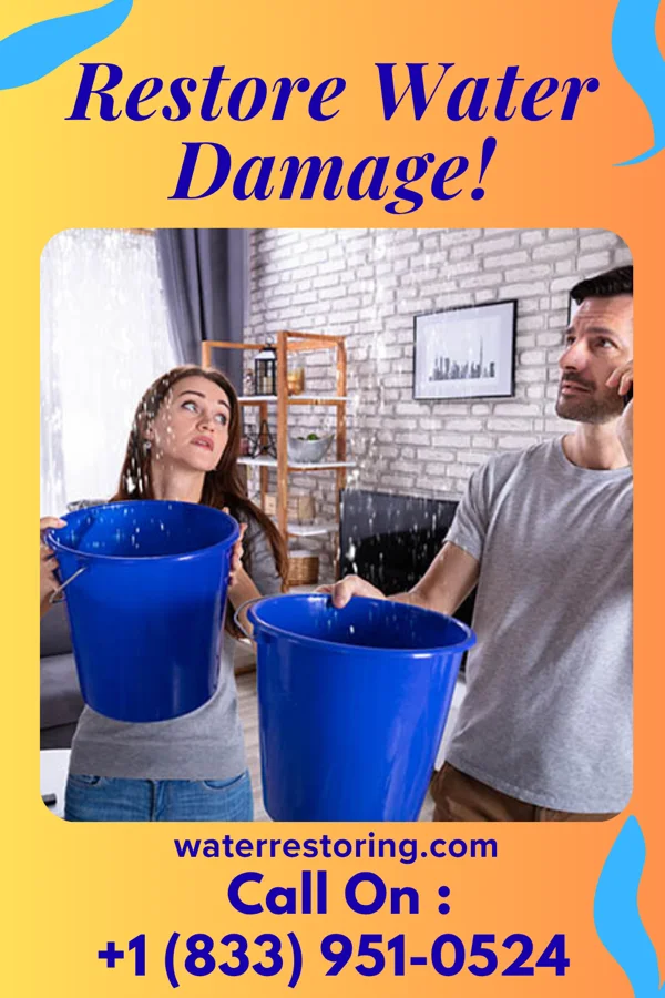 water restoration Elite Flood Recovery Services Cameron