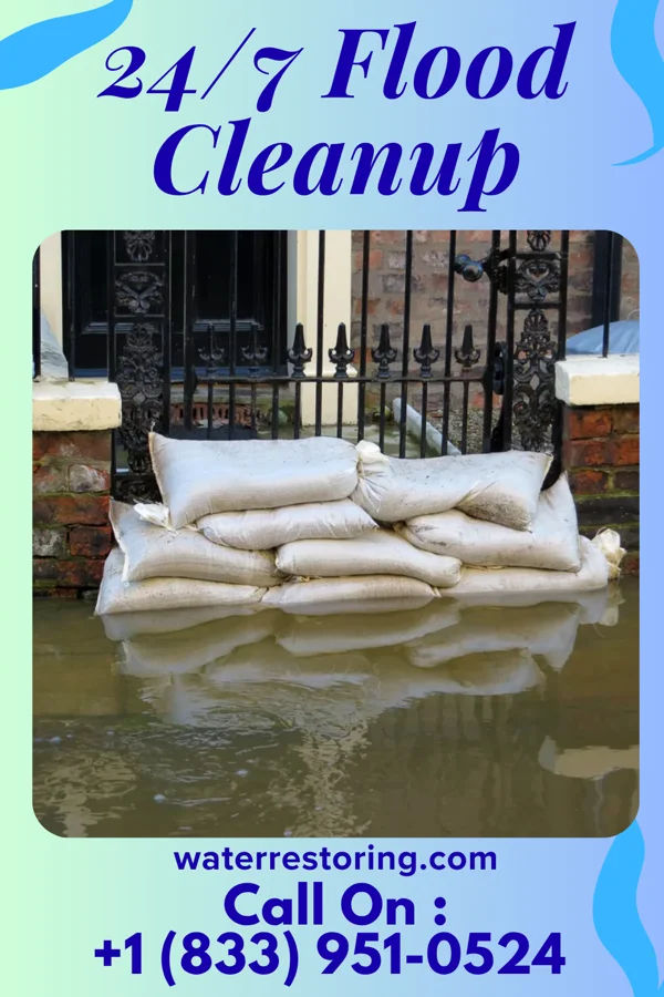 24/7 Flood Cleanup in Cameron, NC