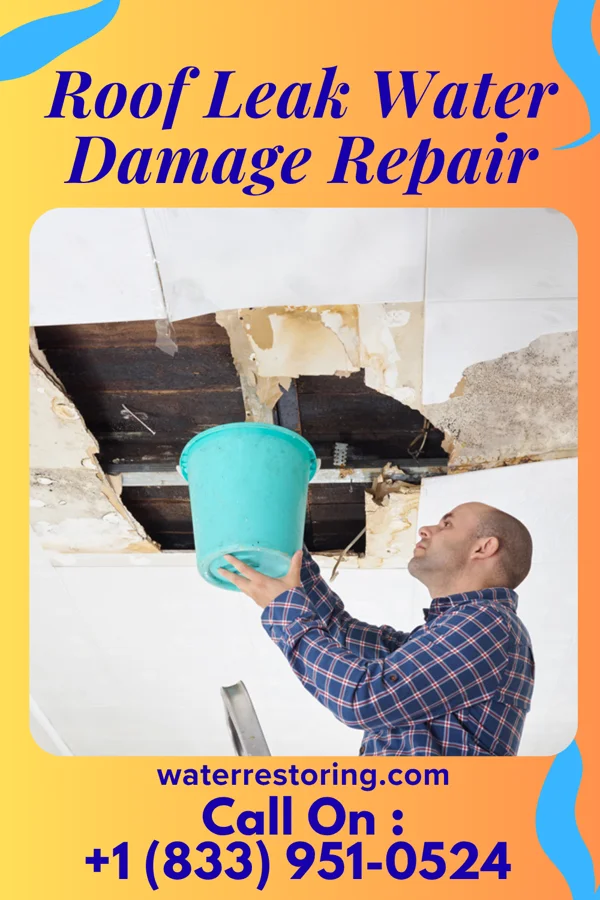 Roof Leak Water Damage Repair in Cameron, NC