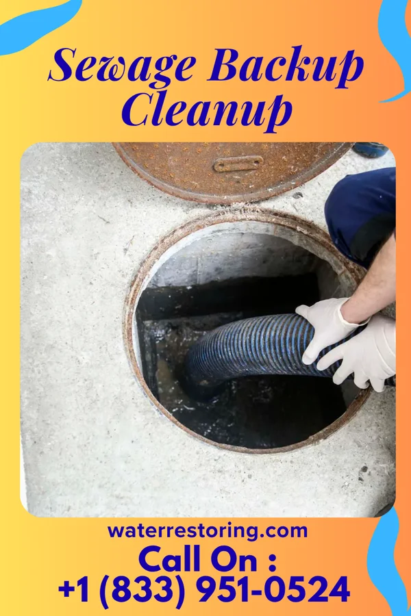Sewage Backup Cleanup in Cameron, NC